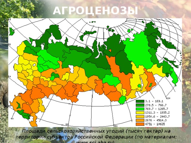 АГРОЦЕНОЗЫ        Площади сельскохозяйственных угодий (тысяч гектар)  на территории субъектов Российской Федерации (по материалам: www.sci.aha.ru ). 