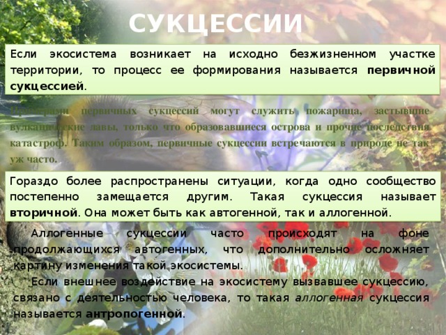 СУКЦЕССИИ Если экосистема возникает на исходно безжизненном участке территории, то процесс ее формирования называется первичной сукцессией . Примерами первичных сукцессий могут служить пожарища, застывшие вулканические лавы, только что образовавшиеся острова и прочие последствия катастроф. Таким образом, первичные сукцессии встречаются в природе не так уж часто.  Гораздо более распространены ситуации, когда одно сообщество постепенно замещается другим. Такая сукцессия называет вторичной . Она может быть как автогенной, так и аллогенной. Аллогенные сукцессии часто происходят на фоне продолжающихся автогенных, что дополнительно осложняет картину изменения такой экосистемы. Если внешнее воздействие на экосистему вызвавшее сукцессию, связано с деятельностью человека, то такая аллогенная сукцессия называется антропогенной . 