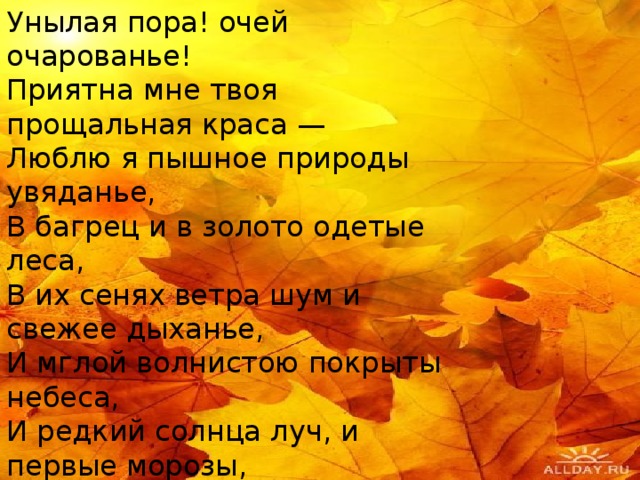 Унылая пора! очей очарованье!  Приятна мне твоя прощальная краса —  Люблю я пышное природы увяданье,  В багрец и в золото одетые леса,  В их сенях ветра шум и свежее дыханье,  И мглой волнистою покрыты небеса,  И редкий солнца луч, и первые морозы,  И отдалённые седой зимы угрозы.  Отрывок из стихотворения «Осень» 