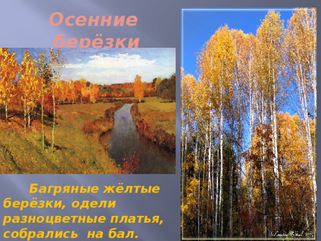 Осенние берёзки  Багряные жёлтые берёзки, одели разноцветные платья, собрались на бал. 