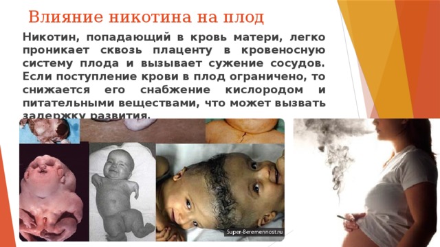 Влияние никотина на плод Никотин, попадающий в кровь матери, легко проникает сквозь плаценту в кровеносную систему плода и вызывает сужение сосудов. Если поступление крови в плод ограничено, то снижается его снабжение кислородом и питательными веществами, что может вызвать задержку развития. 
