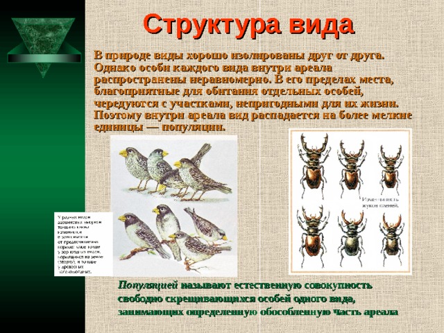 Примеры видов в природе