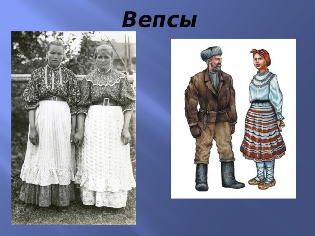 Вепсы 