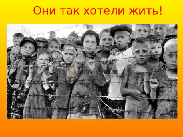 Они так хотели жить! 