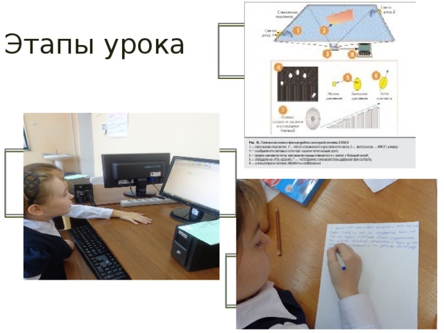 Этапы урока  Домашнее  задание Закрепление изученного материала Рефлексия 