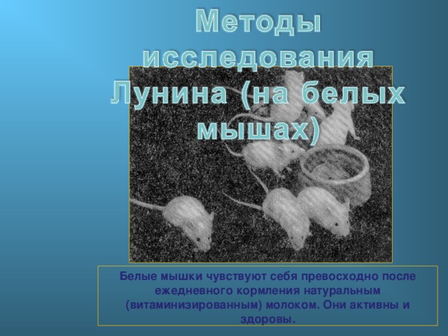 Белые мышки чувствуют себя превосходно после ежедневного кормления натуральным (витаминизированным) молоком. Они активны и здоровы. 