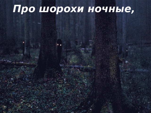 Про шорохи ночные,