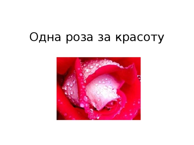 Одна роза за красоту            