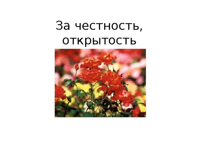 За честность, открытость   
