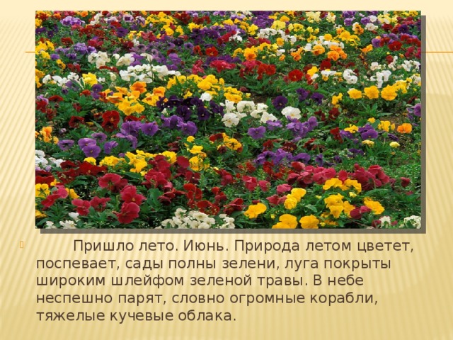         Пришло лето. Июнь. Природа летом цветет, поспевает, сады полны зелени, луга покрыты широким шлейфом зеленой травы. В небе неспешно парят, словно огромные корабли, тяжелые кучевые облака.