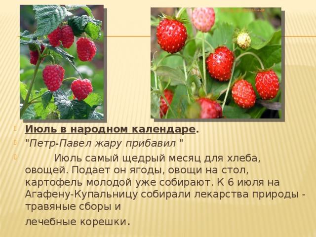Июль в народном календаре