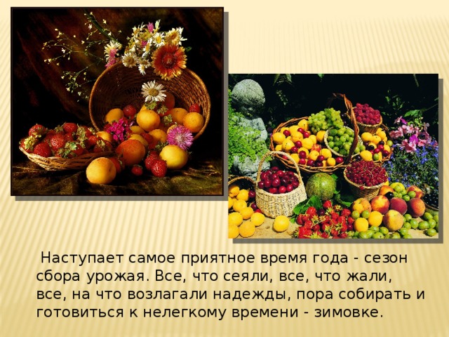   Наступает самое приятное время года - сезон сбора урожая. Все, что сеяли, все, что жали, все, на что возлагали надежды, пора собирать и готовиться к нелегкому времени - зимовке.