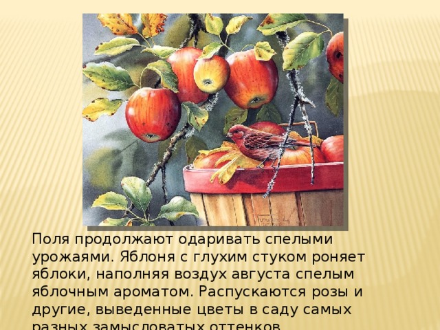 Поля продолжают одаривать спелыми урожаями. Яблоня с глухим стуком роняет яблоки, наполняя воздух августа спелым яблочным ароматом. Распускаются розы и другие, выведенные цветы в саду самых разных замысловатых оттенков.