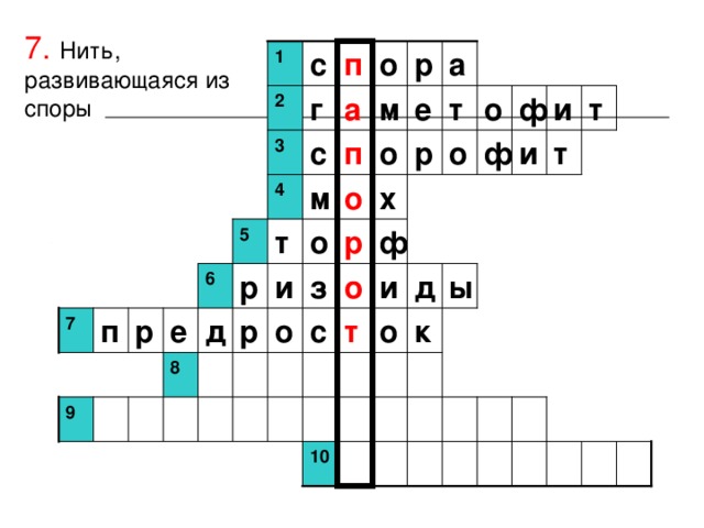 7.  Нить, развивающаяся из споры а 1 с п о р  г а м е т о ф и т 2 п ф  т и с о р о 3  4 м о х о ф р т 5 и 6 р и з о д ы  о к п  с т 7 о р д е р 8 9 10 