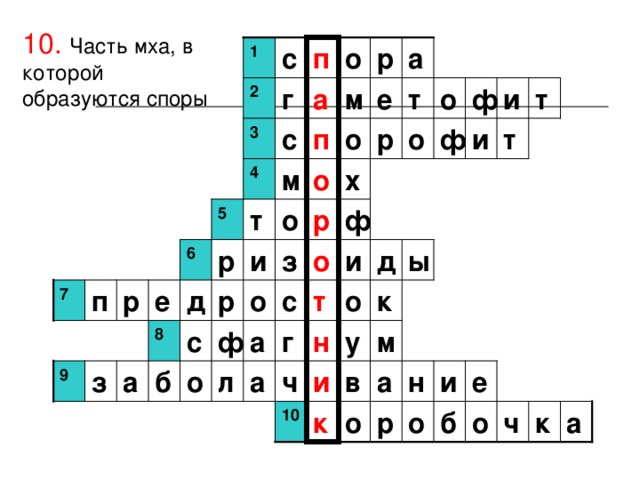 10.  Часть мха, в которой образуются споры 1 с п о р а  г т и ф о 2 е м а т с 3 п р о ф и т  о 4 м о х  р о ф 5 т 6 р и з о и д ы  о т к  о с р д е р п 7 а 8 с ф г н у м а н з и е и в 9 ч а л о б а о о ч б к р о к 10 а 