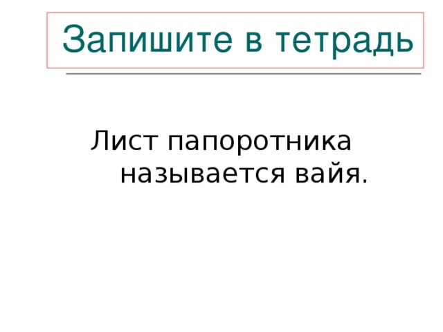  Запишите  в тетрадь  Лист папоротника называется вайя. 