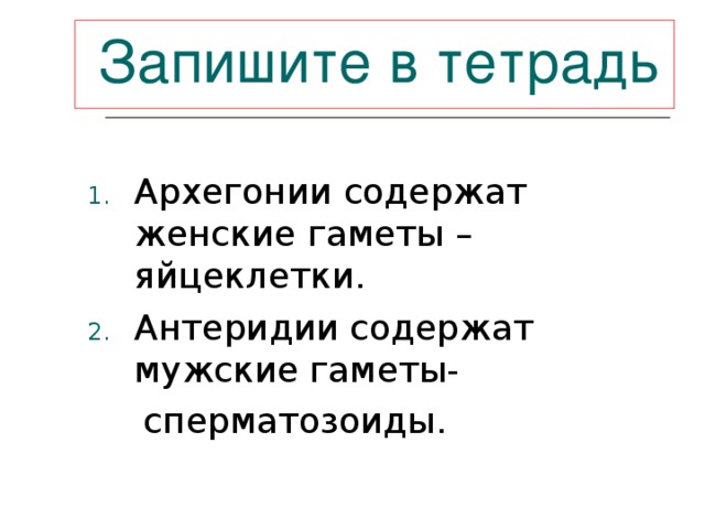  Запишите  в тетрадь  Архегонии содержат женские гаметы – яйцеклетки. Антеридии содержат мужские гаметы-  сперматозоиды. 