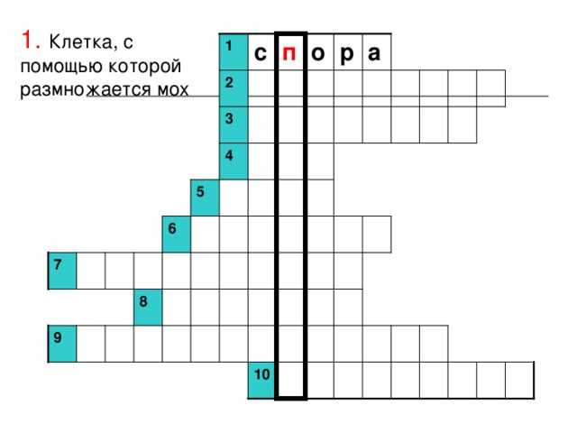 1.  Клетка, с помощью которой размножается мох с п о р а 1 2  3 4 5 6 7 8  9 10 