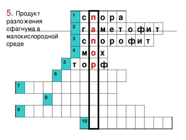 5.  Продукт разложения сфагнума в малокислородной среде 1 с п о р а  м о т и ф г т е а 2 и р т  ф о о п с 3 4 м о х  р ф т о 5 6 7  8 9 10 
