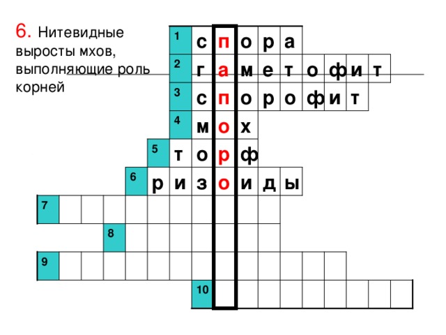 6.  Нитевидные выросты мхов, выполняющие роль корней 1 с п о р а  т т ф о и е а г 2 м о т и ф п р о с 3  х  4 м о 5 т о р ф о  ы д и и з р 6 7  8 9 10 