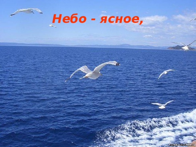 Небо - ясное,