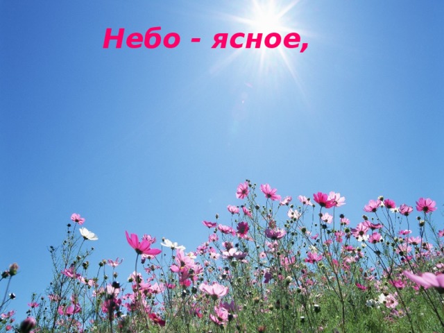 Небо - ясное,