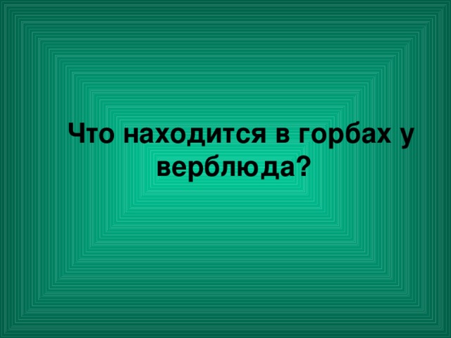 Что находится в горбах у верблюда?