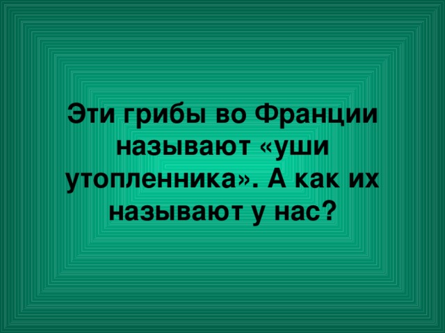 Эти грибы во Франции называют «уши утопленника». А как их называют у нас?