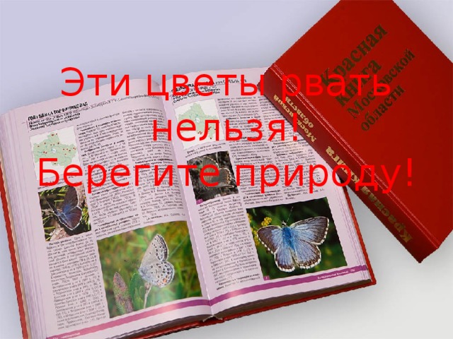 Эти цветы рвать нельзя!  Берегите природу! 