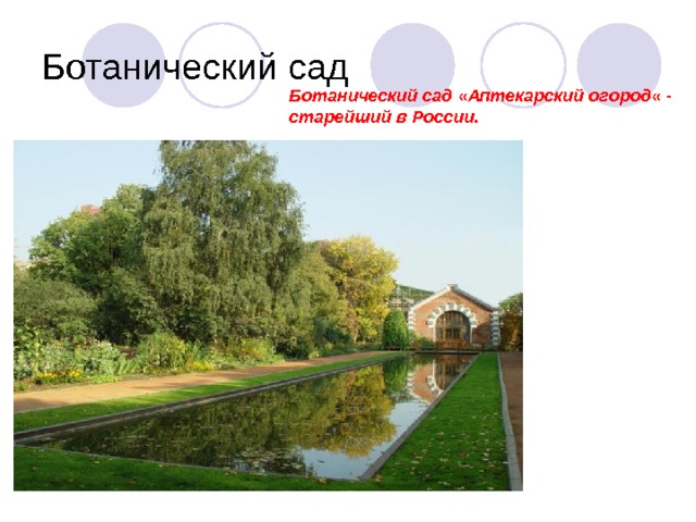Ботанический сад « Аптекарский огород « - старейший в России. 