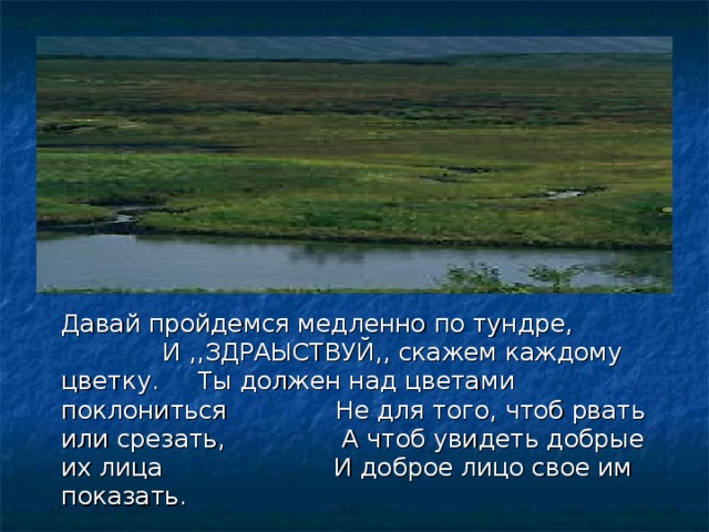  Давай пройдемся медленно по тундре, И ,,ЗДРАЫСТВУЙ,, скажем каждому цветку. Ты должен над цветами поклониться Не для того, чтоб рвать или срезать, А чтоб увидеть добрые их лица И доброе лицо свое им показать. 