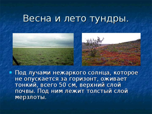 Весна и лето тундры. Под лучами нежаркого солнца, которое не опускается за горизонт, оживает тонкий, всего 50 см, верхний слой почвы. Под ним лежит толстый слой мерзлоты. 