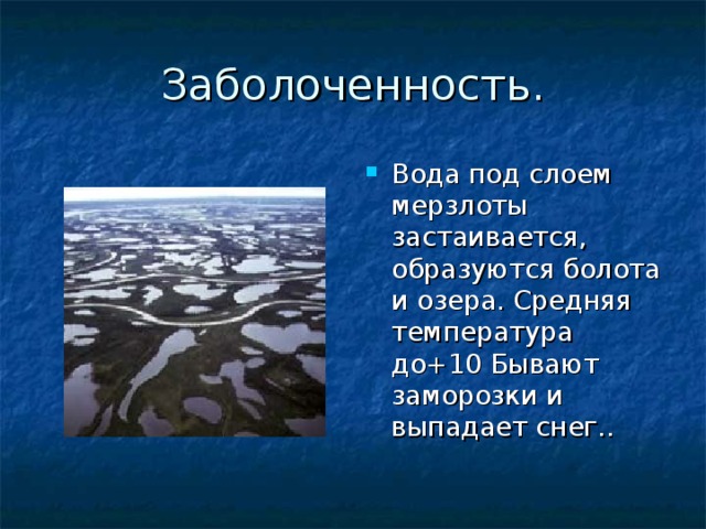Заболоченность. Вода под слоем мерзлоты застаивается, образуются болота и озера. Средняя температура до+10 Бывают заморозки и выпадает снег.. 