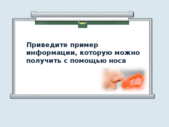 Приведите пример информации, которую можно получить с помощью носа