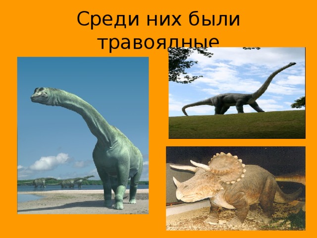 Среди них были травоядные 