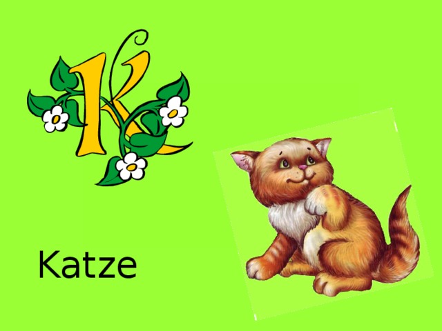 Katze