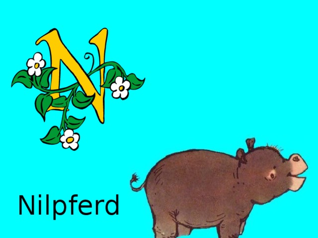 Nilpferd