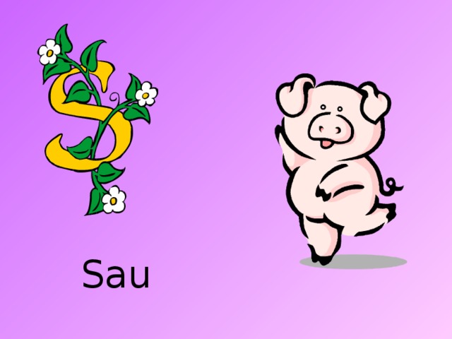Sau