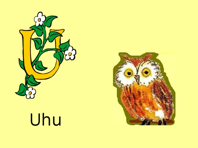 Uhu