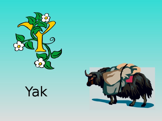 Yak