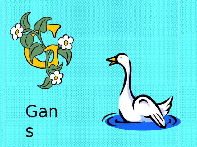 Gans