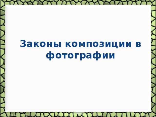 Законы композиции в фотографии 