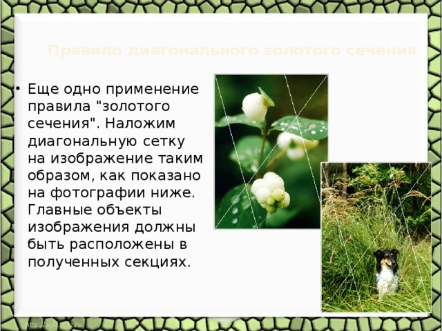 Правило диагонального золотого сечения   Еще одно применение правила 