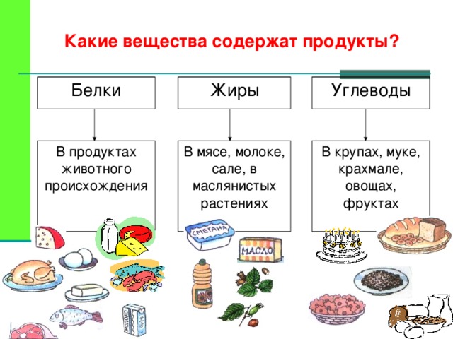 Какие вещества содержат продукты? Белки Жиры В продуктах животного происхождения Углеводы В мясе, молоке, сале, в маслянистых растениях В крупах, муке, крахмале, овощах, фруктах 