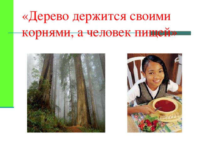 «Дерево держится своими корнями, а человек пищей» 
