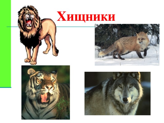 Хищники 