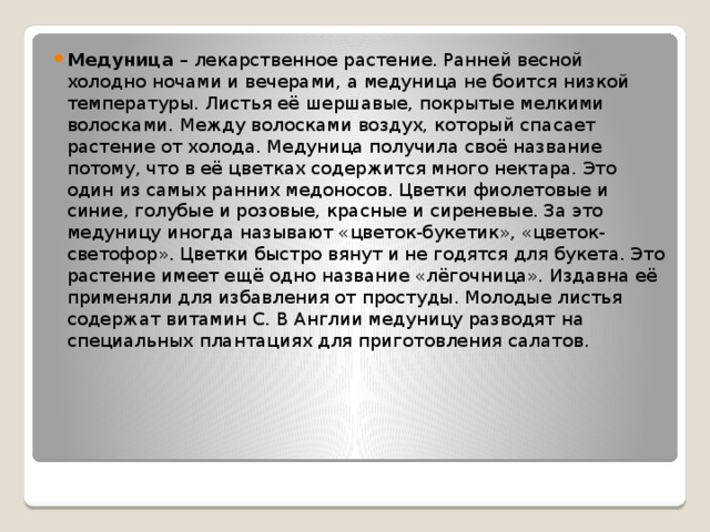 Медуница  – лекарственное растение. Ранней весной холодно ночами и вечерами, а медуница не боится низкой температуры. Листья её шершавые, покрытые мелкими волосками. Между волосками воздух, который спасает растение от холода. Медуница получила своё название потому, что в её цветках содержится много нектара. Это один из самых ранних медоносов. Цветки фиолетовые и синие, голубые и розовые, красные и сиреневые. За это медуницу иногда называют «цветок-букетик», «цветок-светофор». Цветки быстро вянут и не годятся для букета. Это растение имеет ещё одно название «лёгочница». Издавна её применяли для избавления от простуды. Молодые листья содержат витамин С. В Англии медуницу разводят на специальных плантациях для приготовления салатов. 