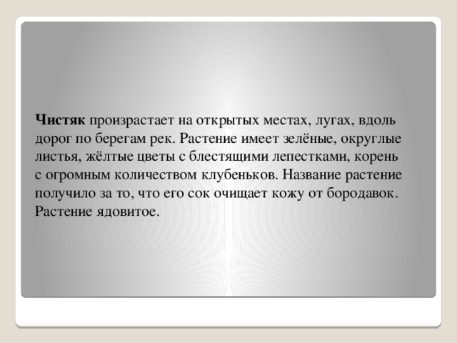 Чистяк  произрастает на открытых местах, лугах, вдоль дорог по берегам рек. Растение имеет зелёные, округлые листья, жёлтые цветы с блестящими лепестками, корень с огромным количеством клубеньков. Название растение получило за то, что его сок очищает кожу от бородавок. Растение ядовитое. 