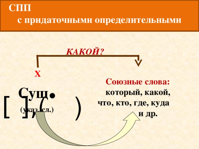 СПП с придаточными определительными  КАКОЙ? Сущ . (указ. сл.) Х  Союзные слова:  который, какой, что, кто, где, куда  и др.  [ ], ( )