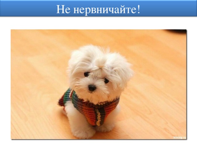 Не нервничайте! 